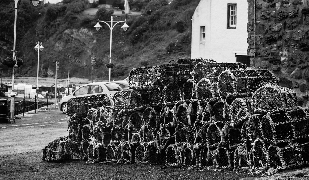 Gentle Tidal Walks Along the South Downs Coast
